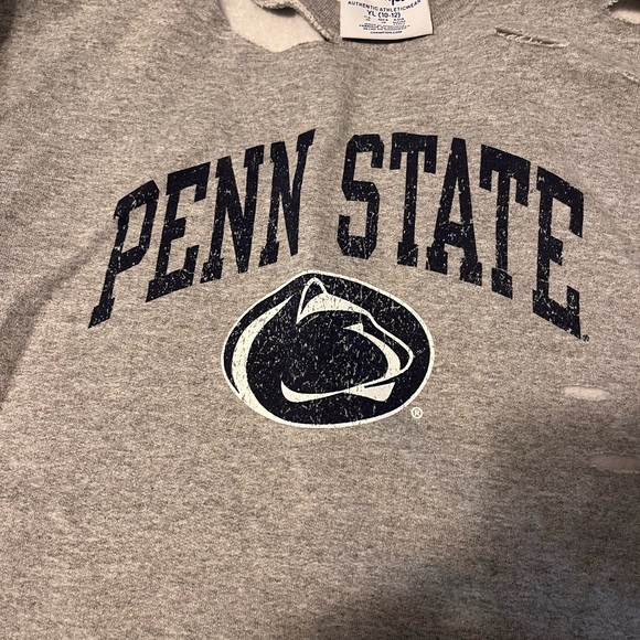 Champion Other - Gray Penn State Sweatshirt